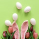 Easter Eggs with Bunny Ears and Tulips on Green Background. Spring Holiday Composition Easter Eggs with Bunny Ears and Tulips on Green Background. Spring Holiday Composition - PhotoDune Item for Sale