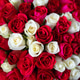 close up of white and red roses on background. bouquet close up of white and red roses on background. bouquet - PhotoDune Item for Sale