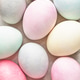 Easter background, colorful pastel dyed Easter eggs close up. Easter background, colorful pastel dyed Easter eggs close up. - PhotoDune Item for Sale