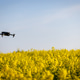 Drones Carrying Out a Field Survey of Oilseed Crops Drones Carrying Out a Field Survey of Oilseed Crops - PhotoDune Item for Sale