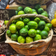 A Basket of Fresh Organic Limes A Basket of Fresh Organic Limes - PhotoDune Item for Sale