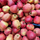 Vibrant Red Apples at a Bustling Market Stall Vibrant Red Apples at a Bustling Market Stall - PhotoDune Item for Sale
