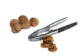 walnuts and Nutcracker, walnuts and Nutcracker, - PhotoDune Item for Sale