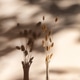 Beautiful moment when the sunlight filters through the leaves of trees, komorebi Beautiful moment when the sunlight filters through the leaves of trees, komorebi - PhotoDune Item for Sale