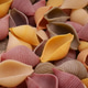 Colorful Conchiglie Pasta Close-up. Colorful Conchiglie Pasta Close-up. - PhotoDune Item for Sale
