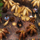 Top view of Group of Old Vietnamese female craftsman making the traditional bamboo fish trap Top view of Group of Old Vietnamese female craftsman making the traditional bamboo fish trap - PhotoDune Item for Sale