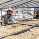 Coffee Farmer Working in Greenhouse Drying Green Coffee Beans Coffee Farmer Working in Greenhouse Drying Green Coffee Beans - PhotoDune Item for Sale