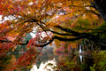 Autumn colours of Kumoba pond,Karuizawa,Japan Autumn colours of Kumoba pond,Karuizawa,Japan - PhotoDune Item for Sale