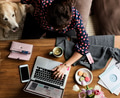 Woman Using Laptop Shopping Online and Petting Dog Woman Using Laptop Shopping Online and Petting Dog - PhotoDune Item for Sale
