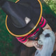 Little witch at back yard. Little witch at back yard. - PhotoDune Item for Sale