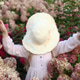 Little girl with charming hat stands in garden with pink and white hydrangeas. The joy of childhood. Little girl with charming hat stands in garden with pink and white hydrangeas. The joy of childhood. - PhotoDune Item for Sale