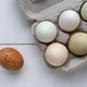 Organic Farm Fresh Eggs Organic Farm Fresh Eggs - PhotoDune Item for Sale
