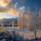 Frost Covered Fence and Snowy Meadow in Soft Winter Sunlight Frost Covered Fence and Snowy Meadow in Soft Winter Sunlight - PhotoDune Item for Sale
