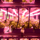 Smart technologies for agribusiness, modern greenhouse growing various microgreens under phyto lamps Smart technologies for agribusiness, modern greenhouse growing various microgreens under phyto lamps - PhotoDune Item for Sale