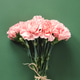 Bouquet of pink carnations flower on green background. Bouquet of pink carnations flower on green background. - PhotoDune Item for Sale