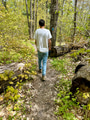 Gen Z male from behind hiking on a natural hiking forest trail enjoying nature Gen Z male from behind hiking on a natural hiking forest trail enjoying nature - PhotoDune Item for Sale