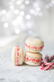 Christmas macarons Christmas macarons - PhotoDune Item for Sale