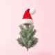 Christmas tree in Santa hat on pink background in minimal style. Christmas tree in Santa hat on pink background in minimal style. - PhotoDune Item for Sale