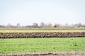 Winter agricultural landscape. Winter agricultural landscape. - PhotoDune Item for Sale