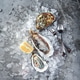 Oysters with lemon on ice on gray background close-up Oysters with lemon on ice on gray background close-up - PhotoDune Item for Sale