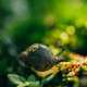 Snail life Snail life - PhotoDune Item for Sale