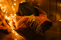 New Year interior. Room decorated to christmas celebration.Christmas tree New Year interior. Room decorated to christmas celebration.Christmas tree - PhotoDune Item for Sale