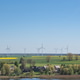 rapeseed field and wind generators rapeseed field and wind generators - PhotoDune Item for Sale