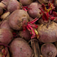 Fresh harvested beetroots in wooden crate, beets in the market Fresh harvested beetroots in wooden crate, beets in the market - PhotoDune Item for Sale