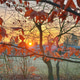 Sunrise in Hamburg Sunrise in Hamburg - PhotoDune Item for Sale
