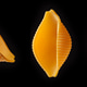 Close-up of dry shell-shaped pasta on a black background. Close-up of dry shell-shaped pasta on a black background. - PhotoDune Item for Sale