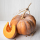Musquee De Provence Pumpkin Slice With Orange Flesh Musquee De Provence Pumpkin Slice With Orange Flesh - PhotoDune Item for Sale