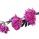 Artificial Summer Flower Isolated Artificial Summer Flower Isolated - PhotoDune Item for Sale