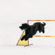 Funny Young Black Giant Schnauzer Or Riesenschnauzer Dog Training Outside At Winter Season. Jump... Funny Young Black Giant Schnauzer Or Riesenschnauzer Dog Training Outside At Winter Season. Jump... - PhotoDune Item for Sale