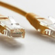 Network cable Network cable - PhotoDune Item for Sale