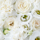 Flower white macroclose up beautiful flowers Flower white macroclose up beautiful flowers - PhotoDune Item for Sale