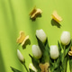 Mothers Day Tulips with Butterflies on Green Background Mothers Day Tulips with Butterflies on Green Background - PhotoDune Item for Sale