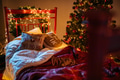 New Year interior. Room decorated to christmas celebration.Christmas tree New Year interior. Room decorated to christmas celebration.Christmas tree - PhotoDune Item for Sale