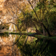 Monasterio de Piedra autumn landscape reflecting in lake Monasterio de Piedra autumn landscape reflecting in lake - PhotoDune Item for Sale