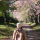 Rear view image of a woman walking in the park with pink cherry blossom flower trees Rear view image of a woman walking in the park with pink cherry blossom flower trees - PhotoDune Item for Sale
