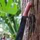 A machete knife on a log, handmade in Thailand A machete knife on a log, handmade in Thailand - PhotoDune Item for Sale