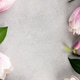 Floral Frame with Pink Magnolia Flowers on Gray Background Floral Frame with Pink Magnolia Flowers on Gray Background - PhotoDune Item for Sale