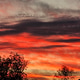 Flaming Sky at Sunset Over the Tree Tops! Flaming Sky at Sunset Over the Tree Tops! - PhotoDune Item for Sale