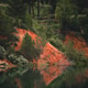 Beautiful blue lake and red clay cliffs in a forest reflecting in a water Beautiful blue lake and red clay cliffs in a forest reflecting in a water - PhotoDune Item for Sale