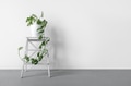 Monstera Monkey Mask in a white pot stands on a white pedestal on a white background Monstera Monkey Mask in a white pot stands on a white pedestal on a white background - PhotoDune Item for Sale