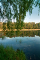 Landscape with a forest lake in summer Landscape with a forest lake in summer - PhotoDune Item for Sale