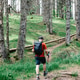 Hiker exploring a beautiful mountain area and the forest. Hiker exploring a beautiful mountain area and the forest. - PhotoDune Item for Sale