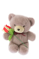 Teddy Bear with Red Rose Teddy Bear with Red Rose - PhotoDune Item for Sale