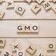 A jumble of wooden letters spell out GMO A jumble of wooden letters spell out GMO - PhotoDune Item for Sale