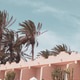 Stylish tropical location. Cactus and palm resort. Canary Island. Travel concept Stylish tropical location. Cactus and palm resort. Canary Island. Travel concept - PhotoDune Item for Sale