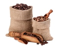 Varieties of Coffee Beans Varieties of Coffee Beans - PhotoDune Item for Sale